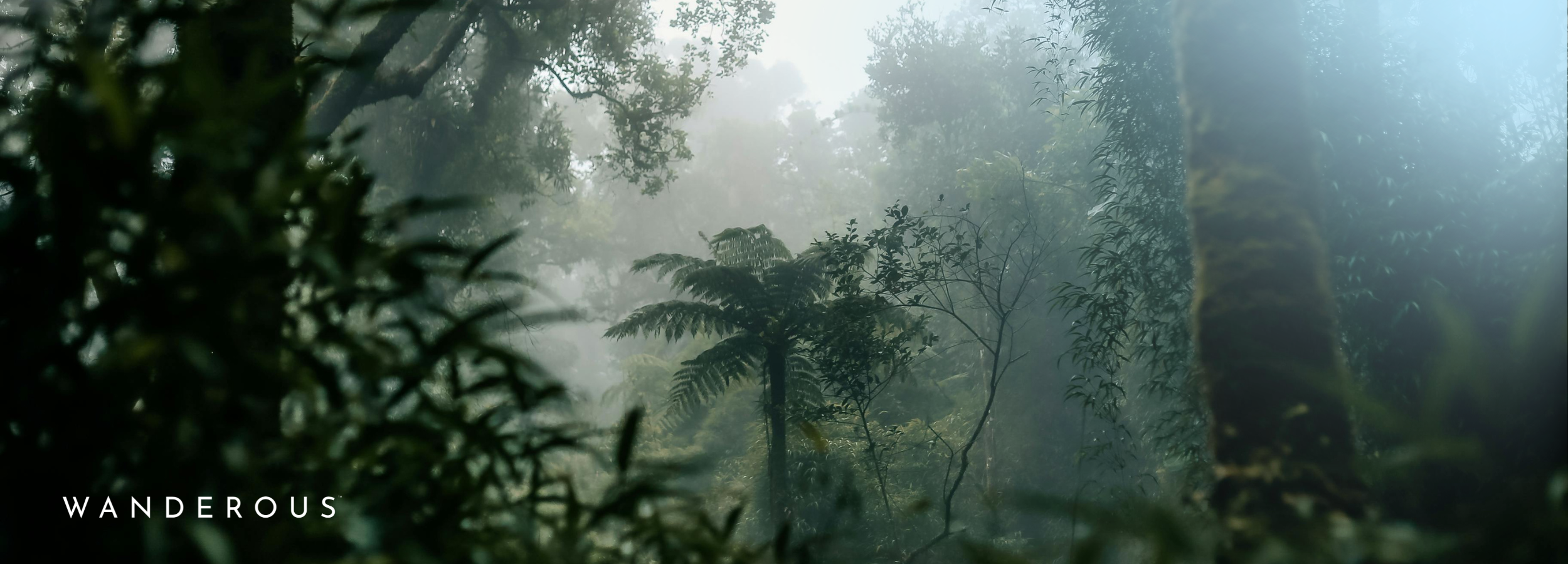 What to Pack in Your Travel Beauty Kit for Humid Weather