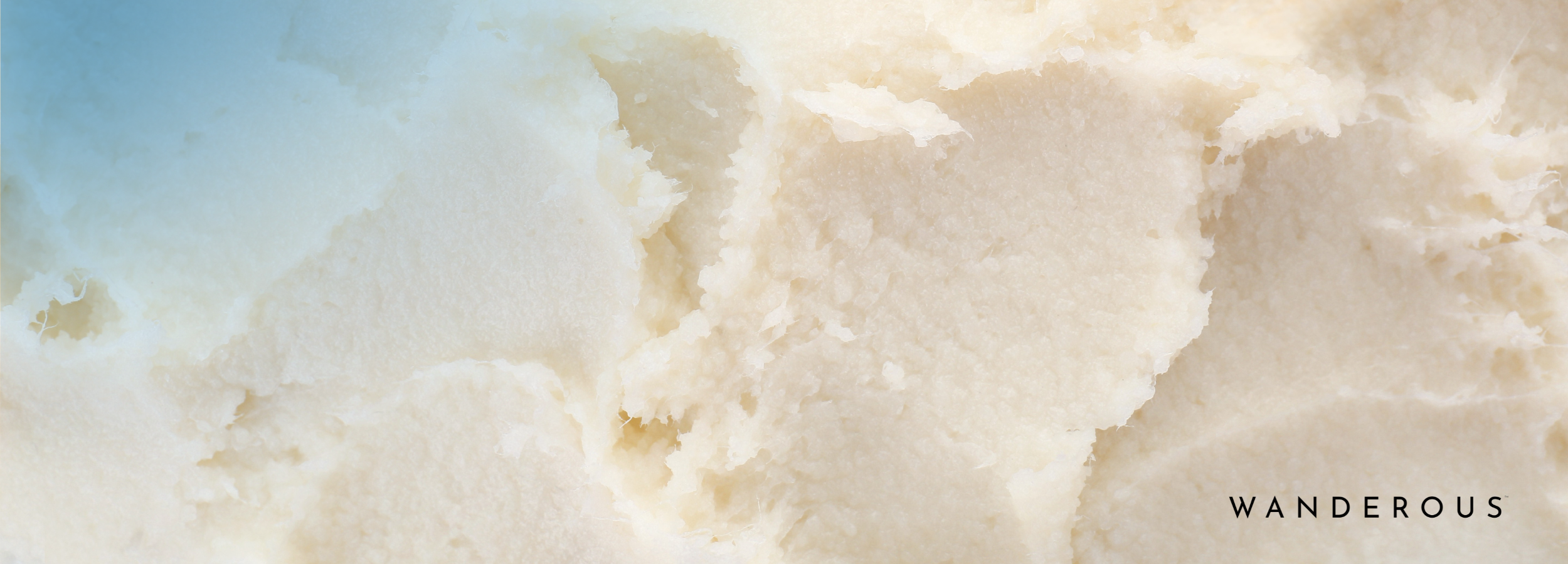 Is Shea Butter Good for Your Hair? The Multi-Climate Ingredient That Does It All